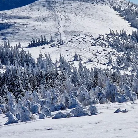 Lumineux Au Pied Des Pistes, - Fr-1-814-177 *