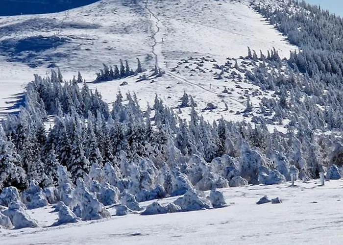 Lumineux Au Pied Des Pistes, - Fr-1-814-177 *